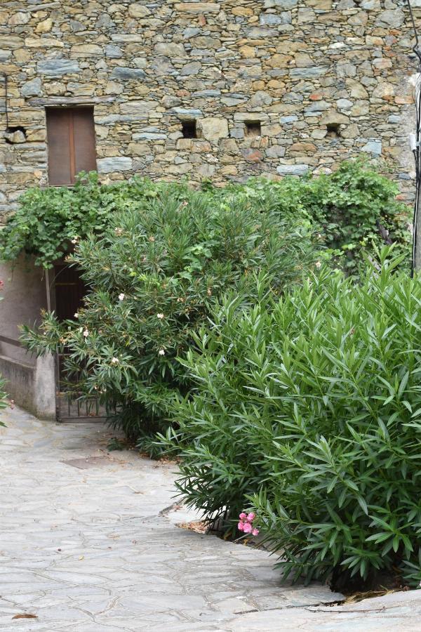 Maison De Village Avec Vue Sur Les Montagnes Bigorno エクステリア 写真