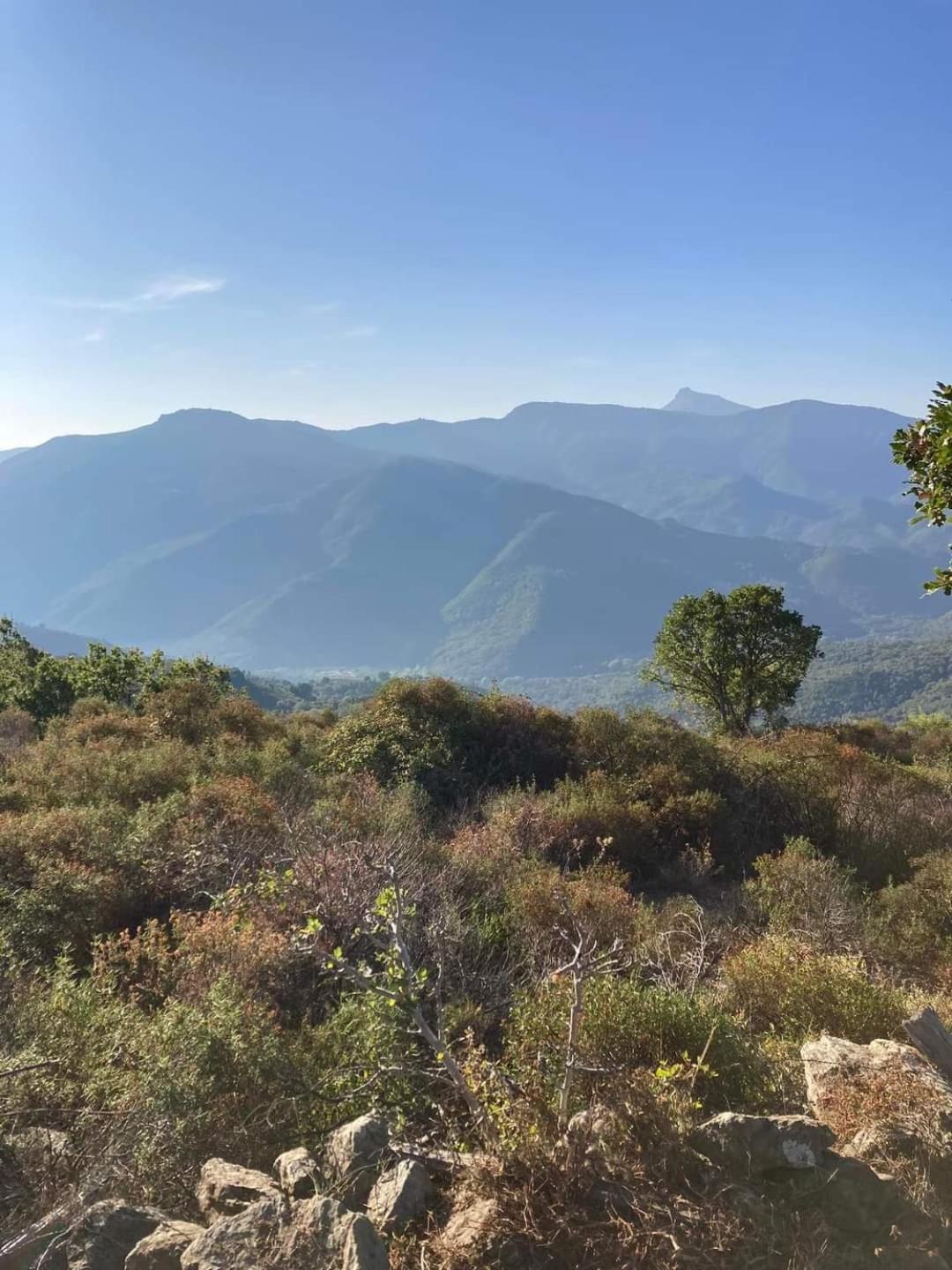 Maison De Village Avec Vue Sur Les Montagnes Bigorno エクステリア 写真